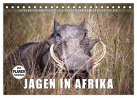 Emotionale Momente: Jagen in Afrika. (Tischkalender 2025 DIN A5 quer), CALVENDO Monatskalender