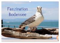 Faszination Bodensee (Wandkalender 2025 DIN A2 quer), CALVENDO Monatskalender