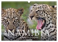 Namibia - Die Tierwelt (Wandkalender 2025 DIN A3 quer), CALVENDO Monatskalender
