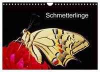 Schmetterlinge (Wandkalender 2025 DIN A4 quer), CALVENDO Monatskalender