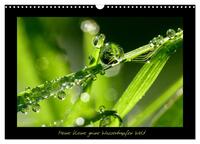 Meine kleine grüne Wassertropfen Welt (Wandkalender 2025 DIN A3 quer), CALVENDO Monatskalender