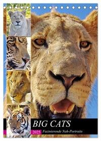 BIG CATS Fazinierende Nah-Portraits (Tischkalender 2025 DIN A5 hoch), CALVENDO Monatskalender