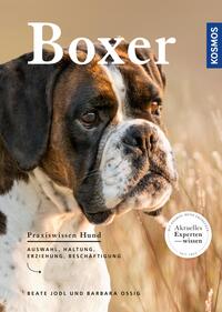 Boxer