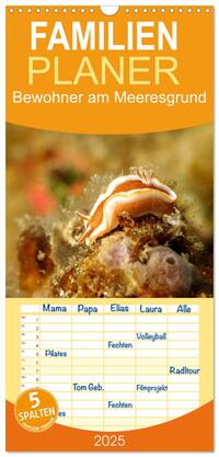 Familienplaner 2025 - Bewohner am Meeresgrund mit 5 Spalten (Wandkalender, 21 x 45 cm) CALVENDO