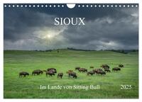 Sioux Im Lande von Sitting Bull (Wandkalender 2025 DIN A4 quer), CALVENDO Monatskalender