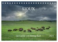 Sioux Im Lande von Sitting Bull (Tischkalender 2025 DIN A5 quer), CALVENDO Monatskalender