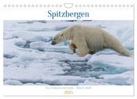 Spitzbergen - Eis, Eisbären und mehr (Wandkalender 2025 DIN A4 quer), CALVENDO Monatskalender