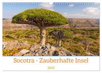 Socotra - Zauberhafte Insel (Wandkalender 2025 DIN A3 quer), CALVENDO Monatskalender