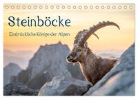Steinböcke - Eindrückliche Könige der Alpen (Tischkalender 2026 DIN A5 quer), CALVENDO Monatskalender