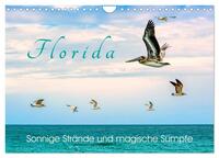 Florida - Sonnige Strände und magische Sümpfe (Wandkalender 2026 DIN A4 quer), CALVENDO Monatskalender