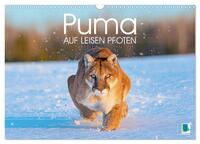 Puma: Auf leisen Pfoten (Wandkalender 2026 DIN A3 quer), CALVENDO Monatskalender
