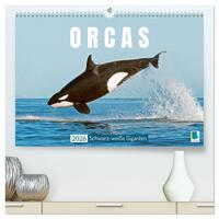 Orcas: Schwarz-weiße Giganten (hochwertiger Premium Wandkalender 2026 DIN A2 quer), Kunstdruck in Hochglanz