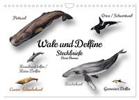 Wale und Delfine Steckbriefe (Wandkalender 2026 DIN A4 quer), CALVENDO Monatskalender