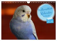 Wellensittichkalender! - Das Original (Wandkalender 2026 DIN A4 quer), CALVENDO Monatskalender