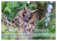 Eulen in Franken (Wandkalender 2026 DIN A4 quer), CALVENDO Monatskalender
