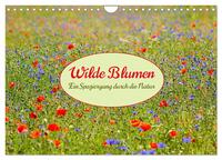 Wilde Blumen - ein Spaziergang durch die Natur (Wandkalender 2026 DIN A4 quer), CALVENDO Monatskalender