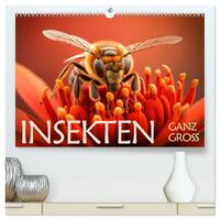 Insekten ganz gross (hochwertiger Premium Wandkalender 2026 DIN A2 quer), Kunstdruck in Hochglanz