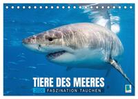 Tiere des Meeres: Faszination Tauchen (Tischkalender 2026 DIN A5 quer), CALVENDO Monatskalender