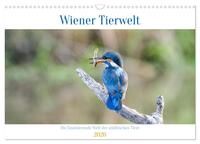 Wiener Tierwelt (Wandkalender 2026 DIN A3 quer), CALVENDO Monatskalender