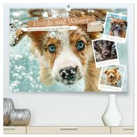 Hunde und Wasser (hochwertiger Premium Wandkalender 2026 DIN A2 quer), Kunstdruck in Hochglanz