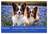 Papillon - bringt jedes Herz zum Schmelzen (Wandkalender 2026 DIN A2 quer), CALVENDO Monatskalender