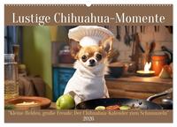 Lustige Chihuahua-Momente (Wandkalender 2026 DIN A2 quer), CALVENDO Monatskalender