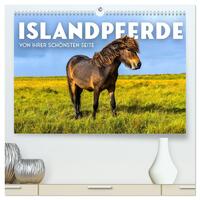 Islandpferde - Von ihrer schönsten Seite (hochwertiger Premium Wandkalender 2026 DIN A2 quer), Kunstdruck in Hochglanz