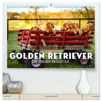 Golden Retriever - Die treuen Begleiter. (hochwertiger Premium Wandkalender 2026 DIN A2 quer), Kunstdruck in Hochglanz