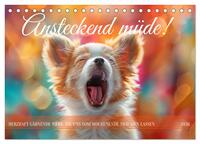 Ansteckend müde! (Tischkalender 2026 DIN A5 quer), CALVENDO Monatskalender