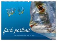 fisch portrait (Wandkalender 2026 DIN A2 quer), CALVENDO Monatskalender