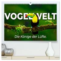 Vogelwelt - Die Könige der Lüfte. (hochwertiger Premium Wandkalender 2026 DIN A2 quer), Kunstdruck in Hochglanz