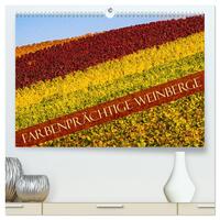 Farbenprächtige Weinberge (hochwertiger Premium Wandkalender 2026 DIN A2 quer), Kunstdruck in Hochglanz