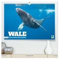 Wale: Giganten der Meere (hochwertiger Premium Wandkalender 2026 DIN A2 quer), Kunstdruck in Hochglanz