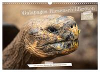 Die Riesenschildkröten der Galapagos Inseln (Wandkalender 2026 DIN A3 quer), CALVENDO Monatskalender