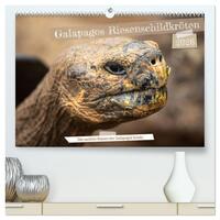 Die Riesenschildkröten der Galapagos Inseln (hochwertiger Premium Wandkalender 2026 DIN A2 quer), Kunstdruck in Hochglanz