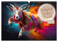 Farbsplash in der Tierwelt (Wandkalender 2026 DIN A3 quer), CALVENDO Monatskalender