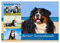 Berner Sennenhunde - Traumhunde mit Charme (Tischkalender 2026 DIN A5 quer), CALVENDO Monatskalender