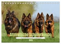 Altdeutsche Schäferhunde - Traumhafte Schäferhunde Langstockhaar (Tischkalender 2026 DIN A5 quer), CALVENDO Monatskalender