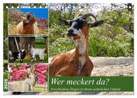 Wer meckert da? (Tischkalender 2026 DIN A5 quer), CALVENDO Monatskalender