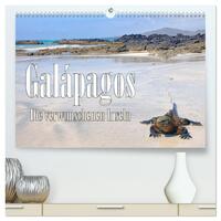 Galápagos - Die verwunschenen Inseln (hochwertiger Premium Wandkalender 2026 DIN A2 quer), Kunstdruck in Hochglanz