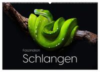 Faszination Schlangen (Wandkalender 2026 DIN A2 quer), CALVENDO Monatskalender