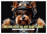 Der humoristische Yorkshire Terrier Kalender (Wandkalender 2026 DIN A2 quer), CALVENDO Monatskalender