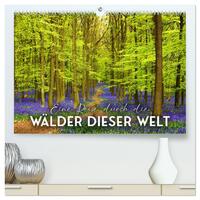 Eine Reise durch die Wälder dieser Welt (hochwertiger Premium Wandkalender 2026 DIN A2 quer), Kunstdruck in Hochglanz