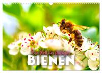 Die Welt der fleißigen Bienen (Wandkalender 2026 DIN A3 quer), CALVENDO Monatskalender