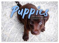 Puppies - Die niedlichsten Vierbeiner der Welt. (Tischkalender 2026 DIN A5 quer), CALVENDO Monatskalender