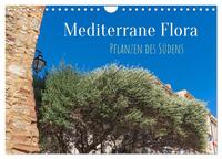 Mediterrane Flora - Pflanzen des Südens (Wandkalender 2026 DIN A4 quer), CALVENDO Monatskalender