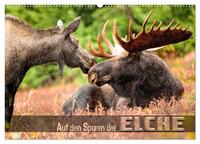 Auf den Spuren der Elche (Wandkalender 2026 DIN A2 quer), CALVENDO Monatskalender