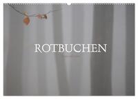 Rotbuchen (Wandkalender 2026 DIN A2 quer), CALVENDO Monatskalender