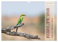 Birdlife - Vögel im südlichen Afrika (Wandkalender 2026 DIN A3 quer), CALVENDO Monatskalender