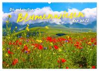 Die schönsten Blumenwiesen der Welt (Wandkalender 2026 DIN A2 quer), CALVENDO Monatskalender